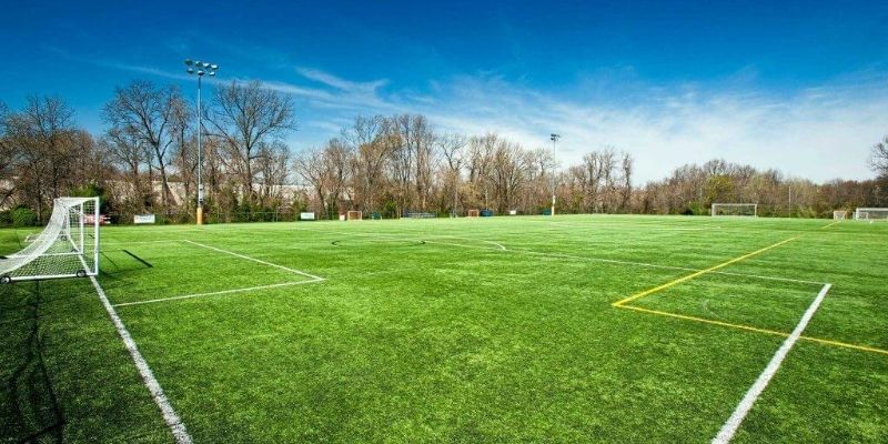 Đường Pitch Là Gì: Vai Trò Đường Pitch Trong Bóng Đá 2 Cách hiểu đơn giản về đường pitch là gì